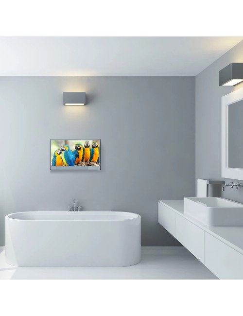 Souria 32 pouces miroir intelligent écran tactile FHD LED TV résistant